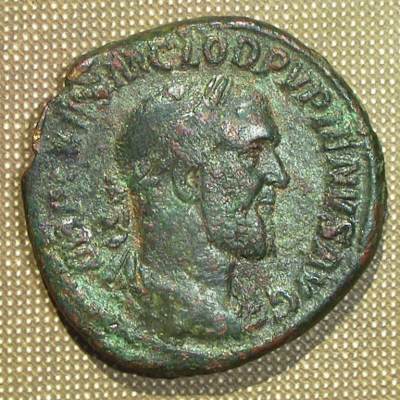 pupienus_01.jpg