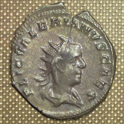 valerianus2_02.jpg